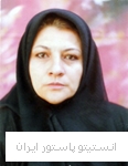 حوریه دوبار